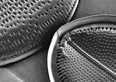 diatom-02